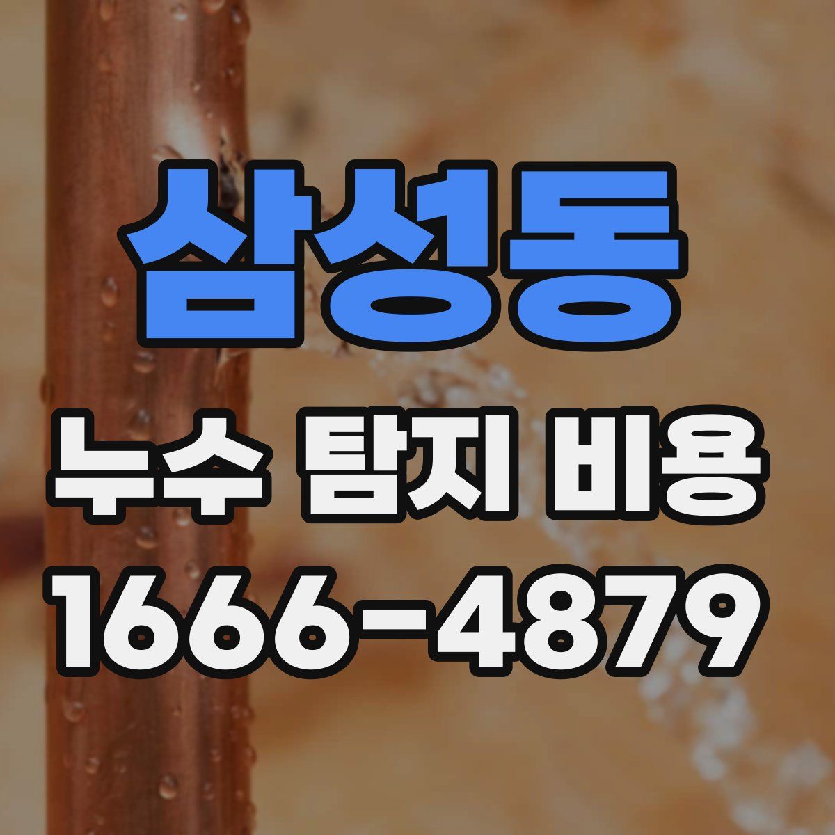 삼성동 누수 탐지 비용