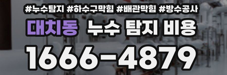 대치동 누수 탐지 비용