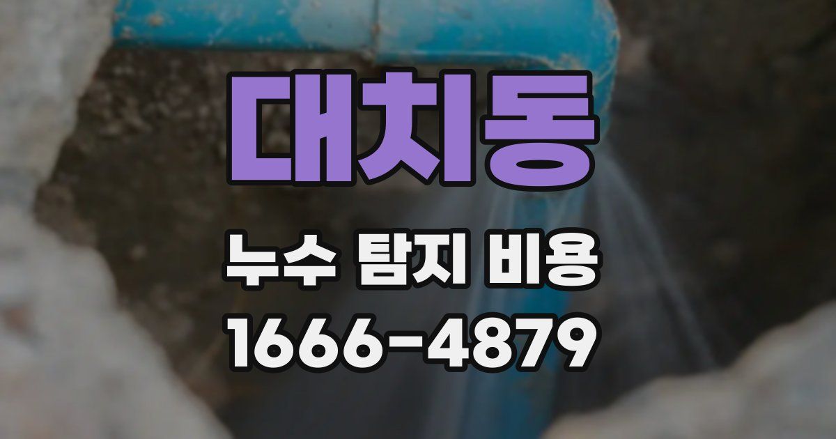 대치동 누수 탐지 비용