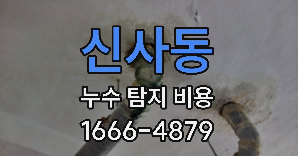 신사동 누수 탐지 비용