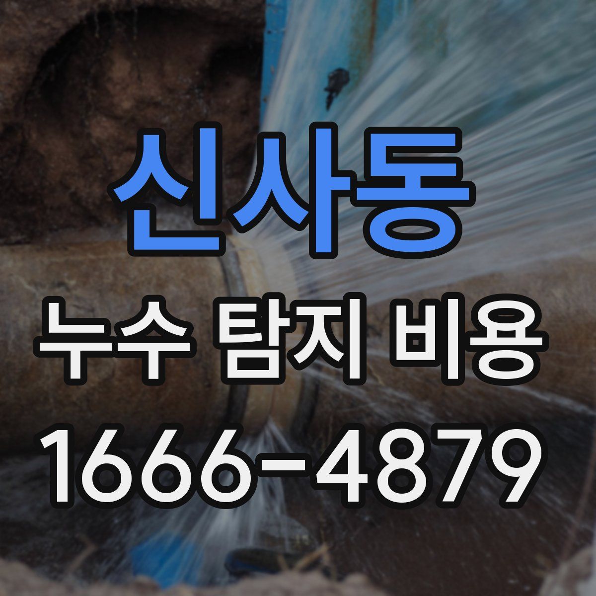 신사동 누수 탐지 비용