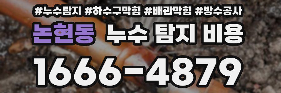논현동 누수 탐지 비용