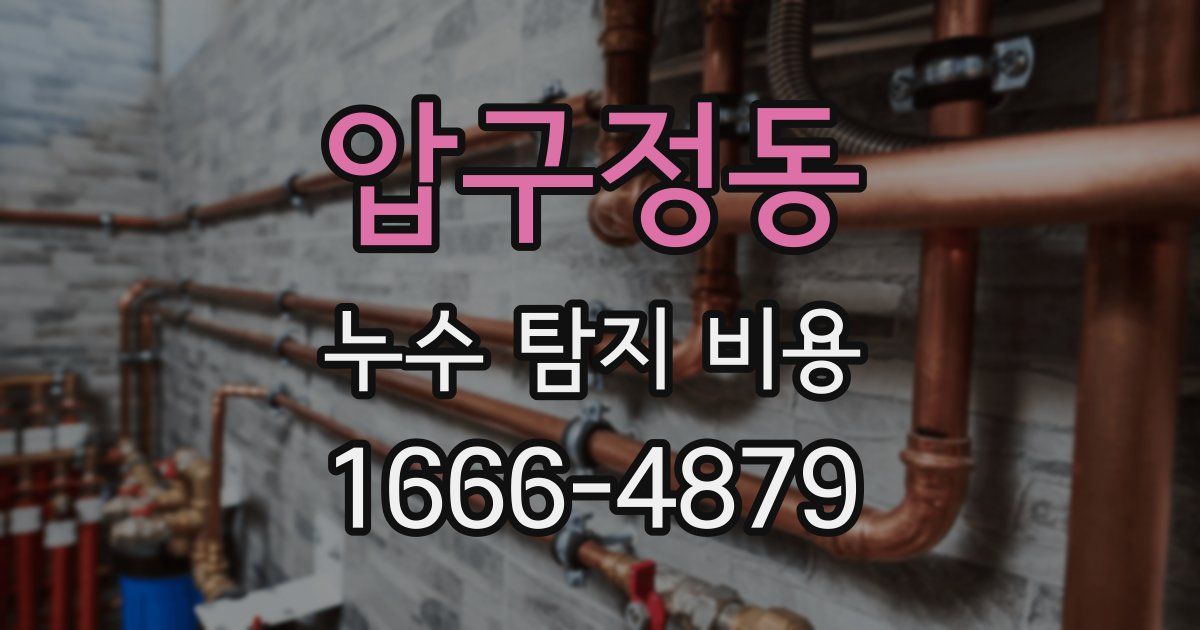 압구정동 누수 탐지 비용