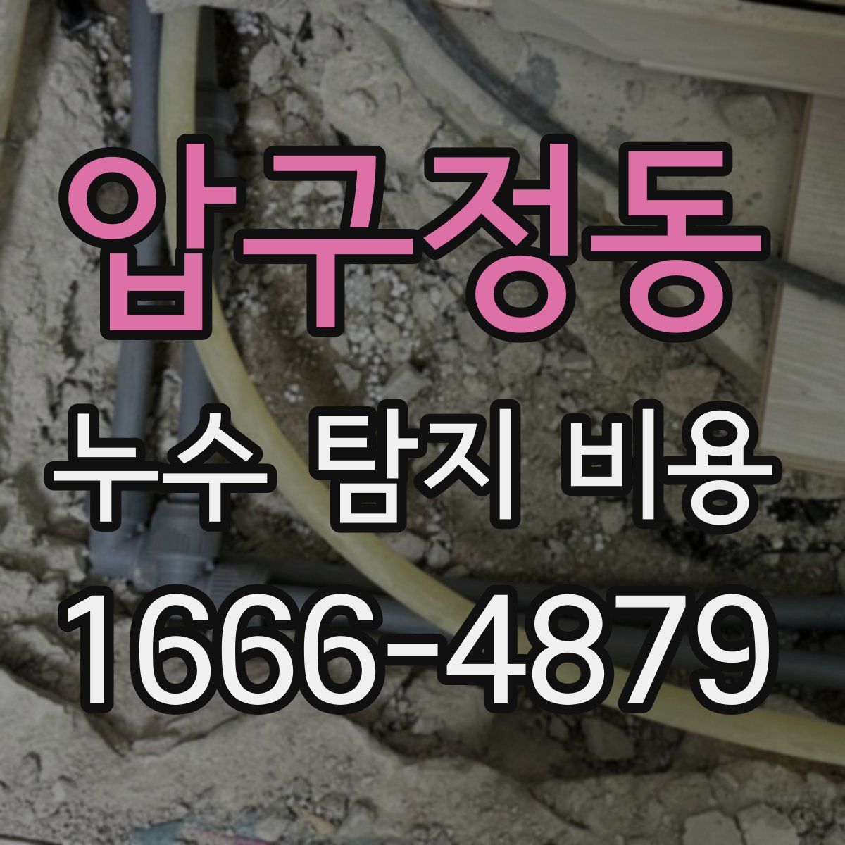 압구정동 누수 탐지 비용