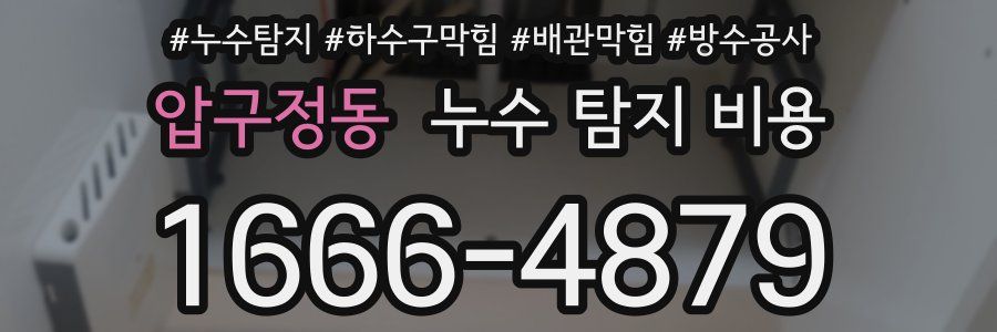 압구정동 누수 탐지 비용