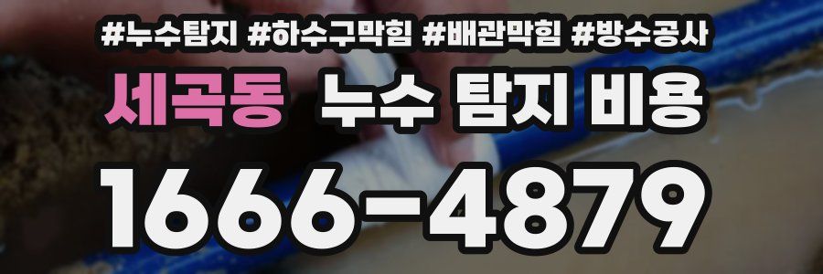 세곡동 누수 탐지 비용