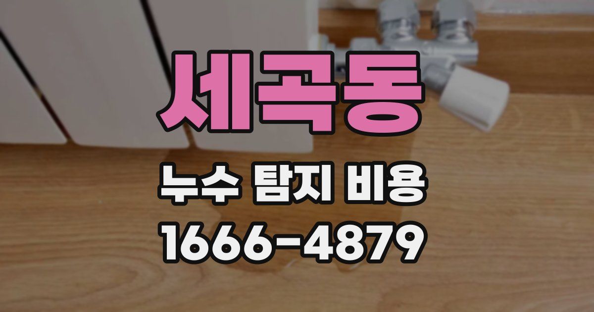 세곡동 누수 탐지 비용