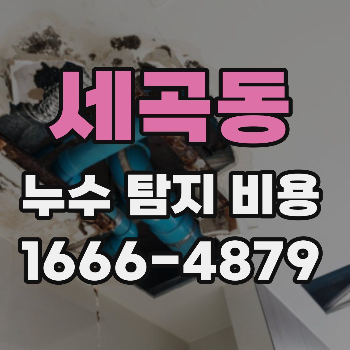 세곡동 누수 탐지 비용
