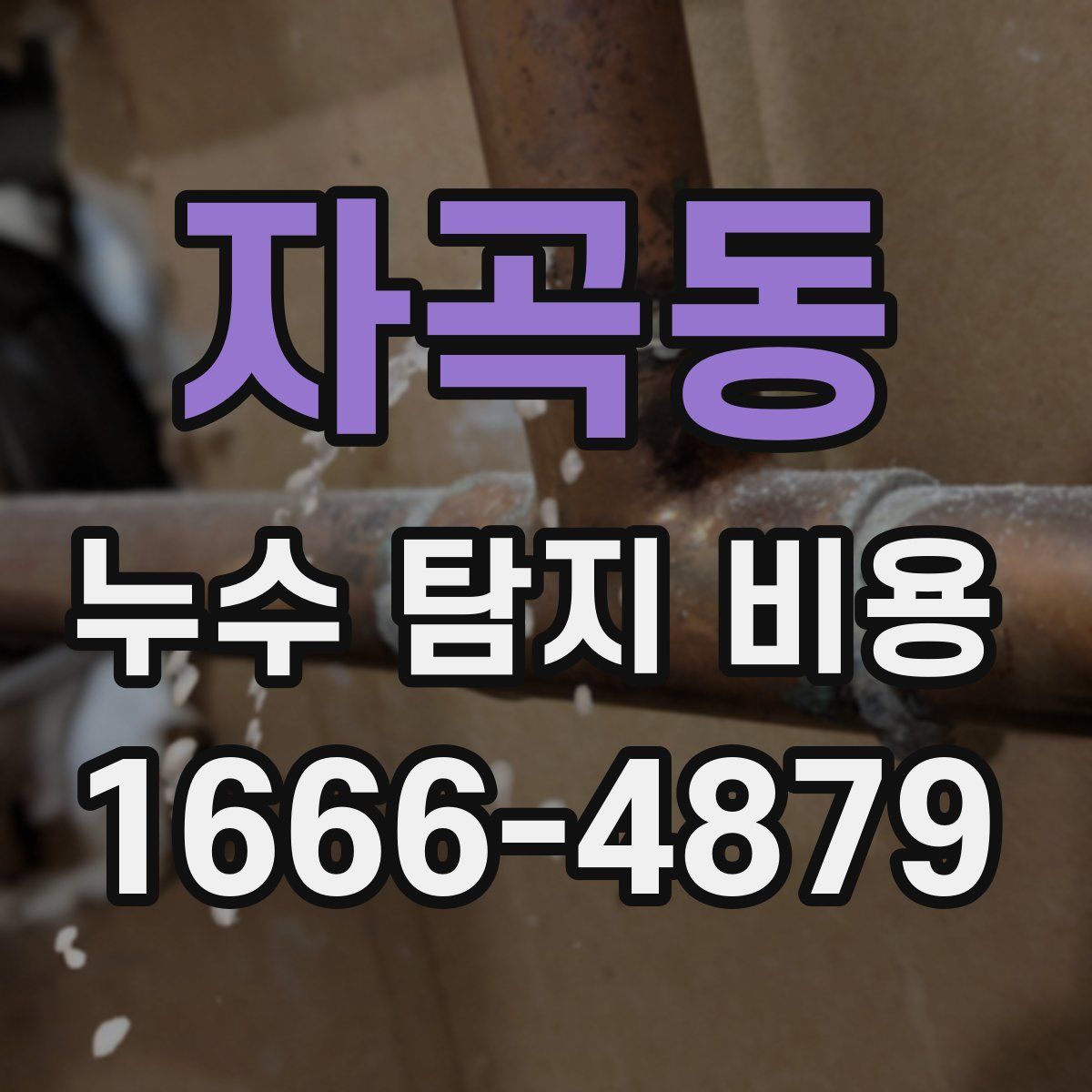 자곡동 누수 탐지 비용