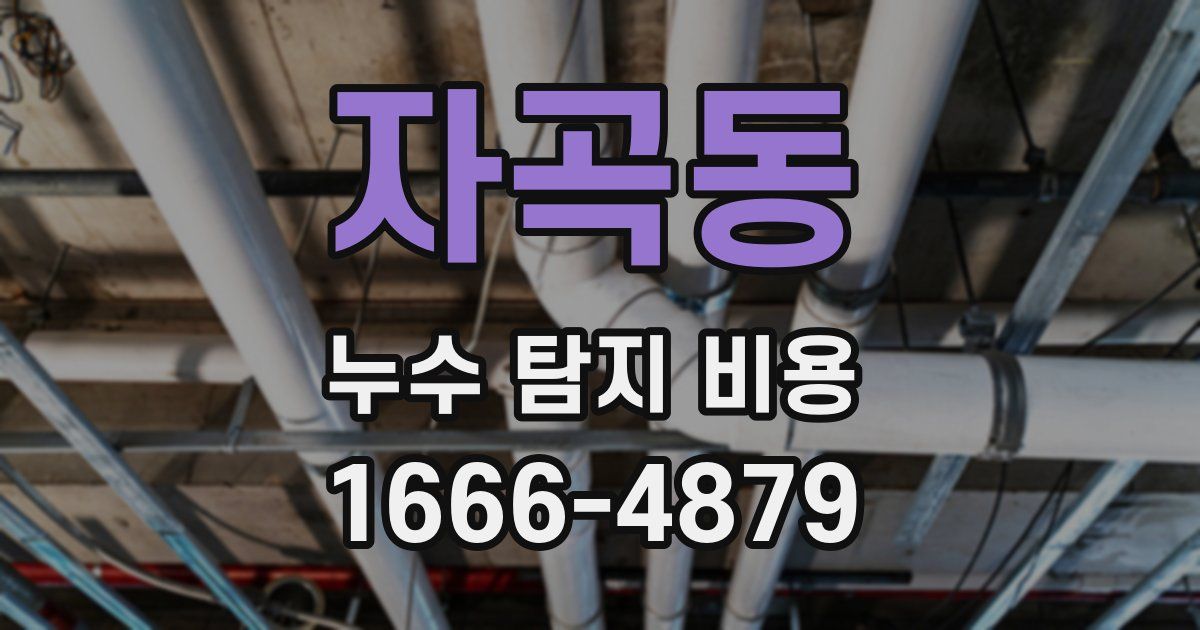 자곡동 누수 탐지 비용