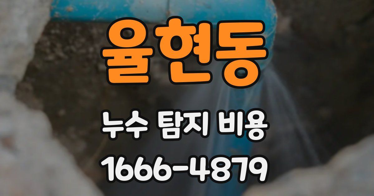 율현동 누수 탐지 비용