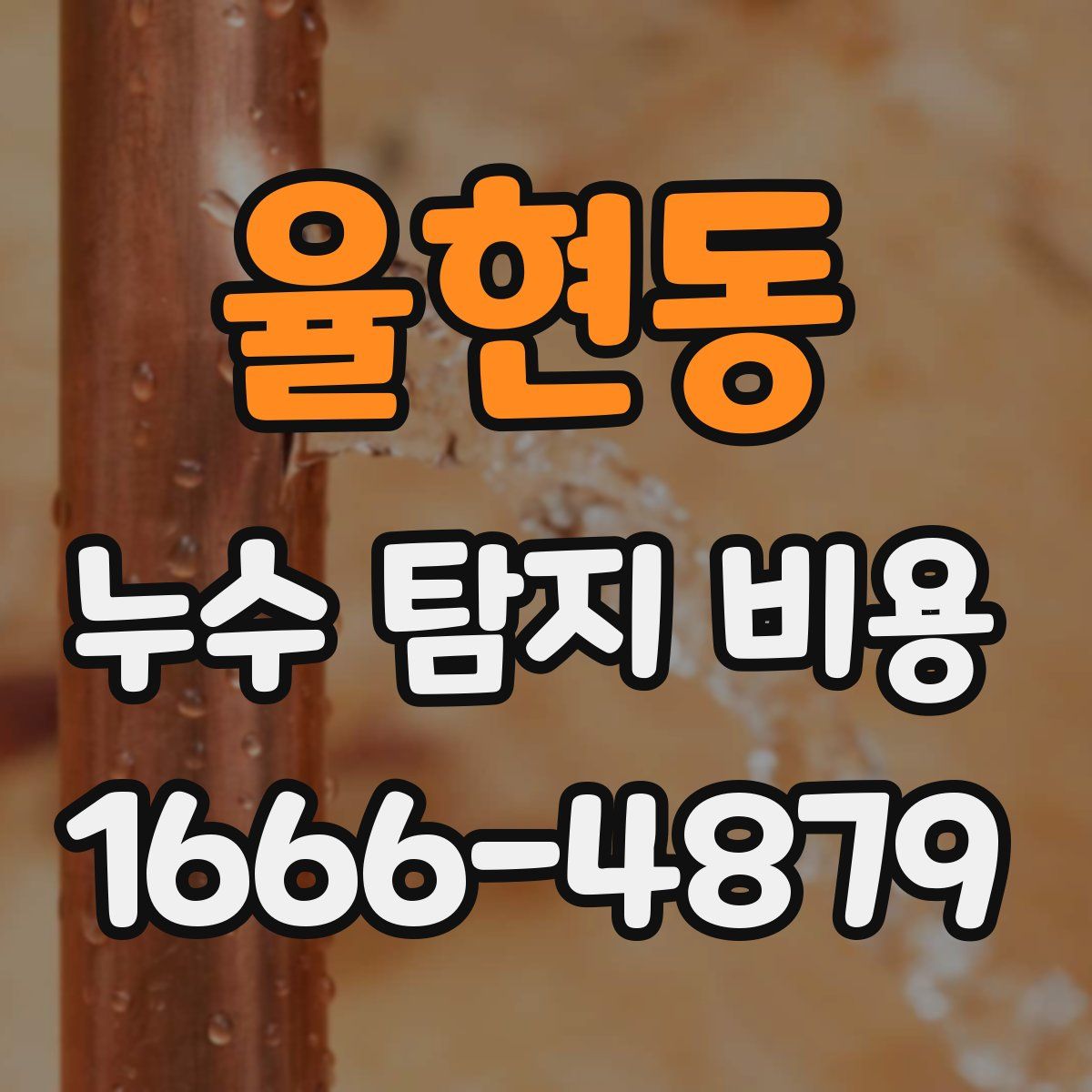 율현동 누수 탐지 비용