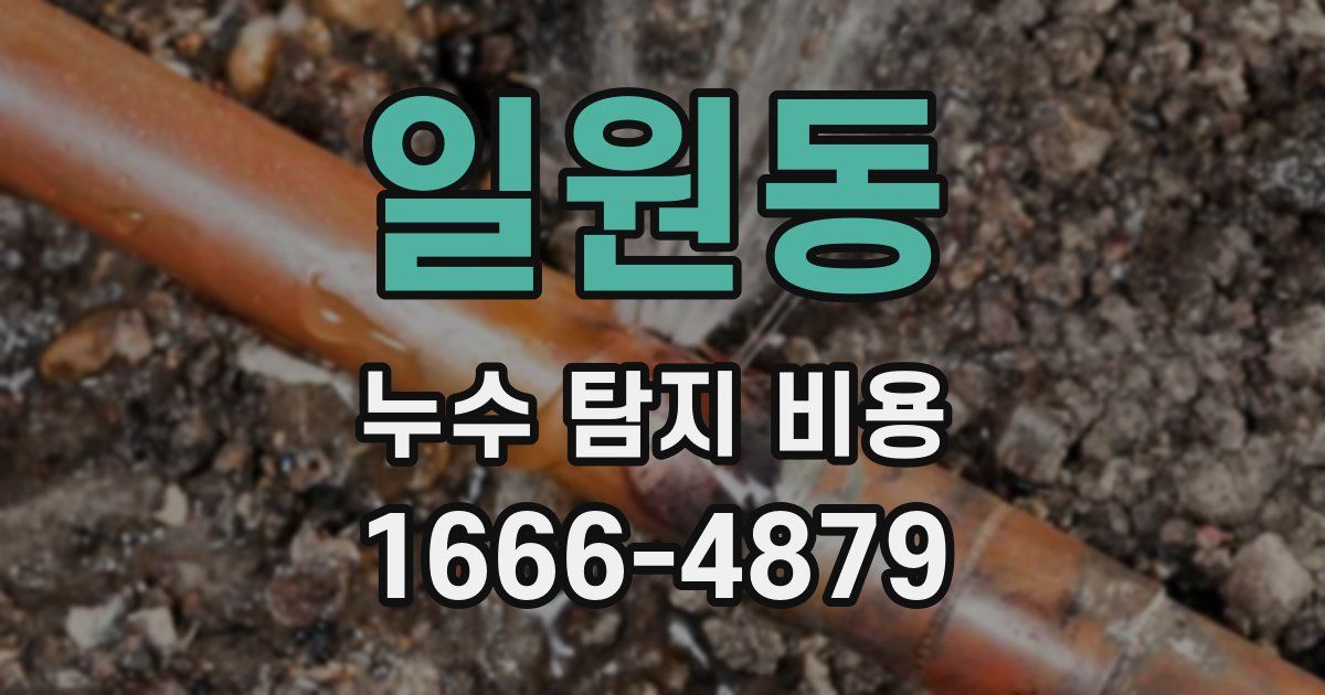 일원동 누수 탐지 비용