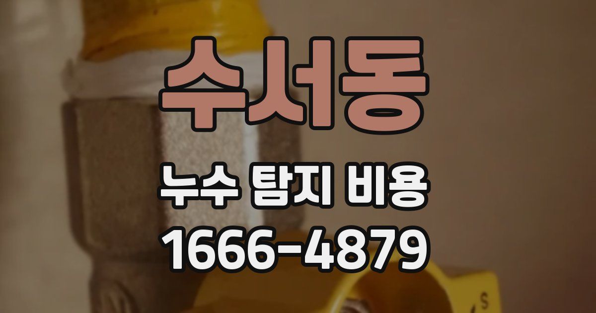 수서동 누수 탐지 비용
