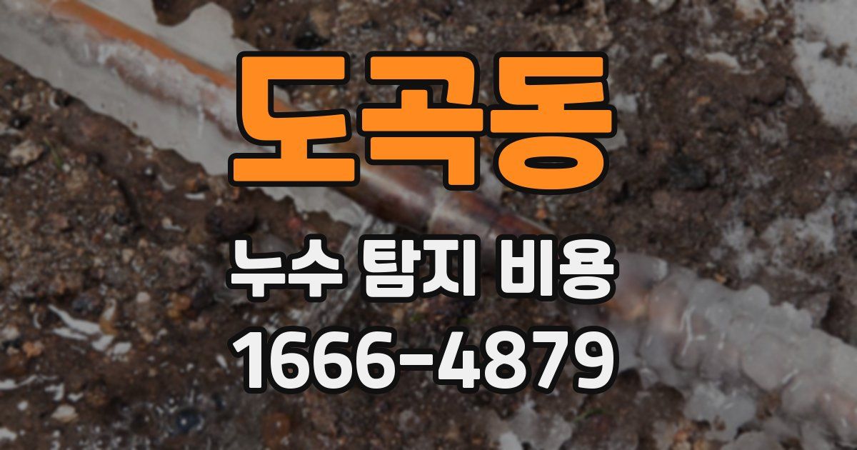 도곡동 누수 탐지 비용