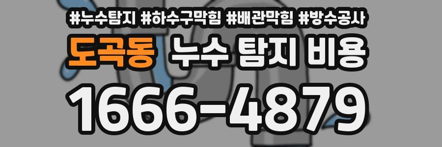 도곡동 누수 탐지 비용