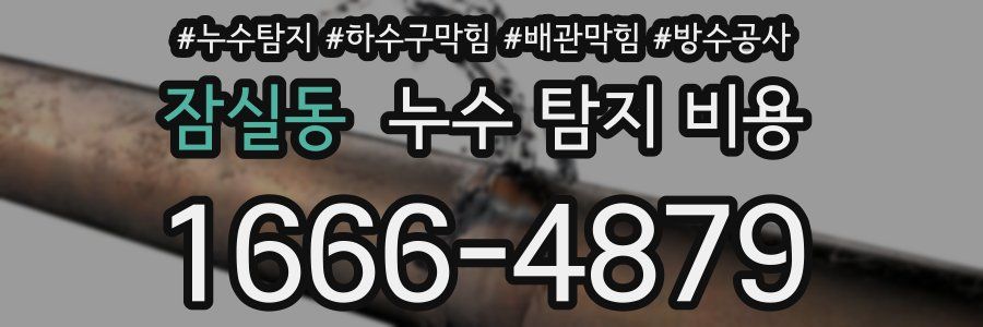 잠실동 누수 탐지 비용