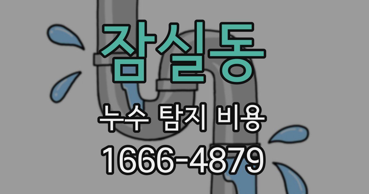 잠실동 누수 탐지 비용