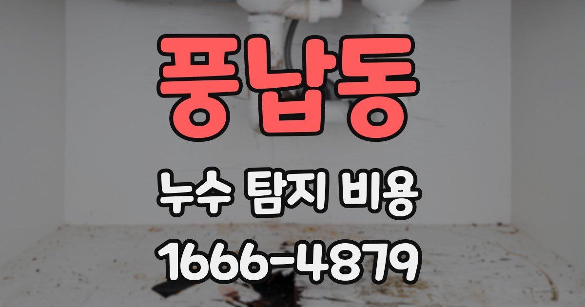 풍납동 누수 탐지 비용