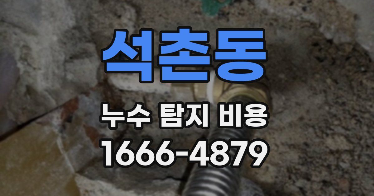 석촌동 누수 탐지 비용