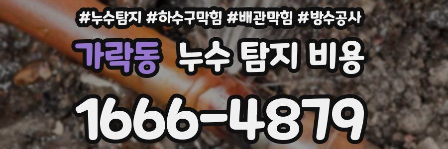 가락동 누수 탐지 비용