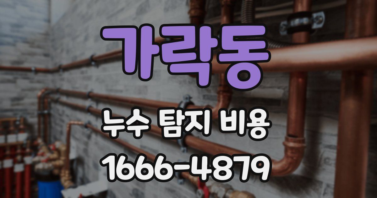 가락동 누수 탐지 비용