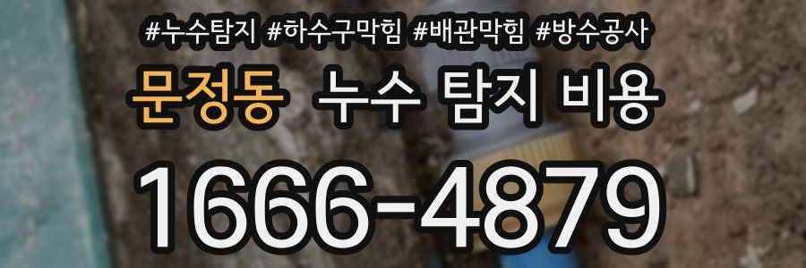 문정동 누수 탐지 비용
