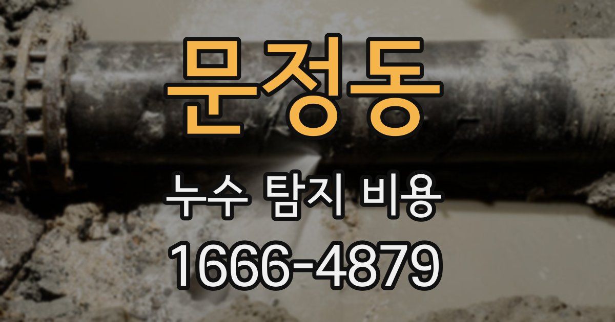 문정동 누수 탐지 비용