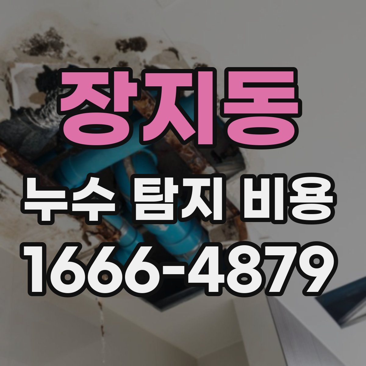 장지동 누수 탐지 비용