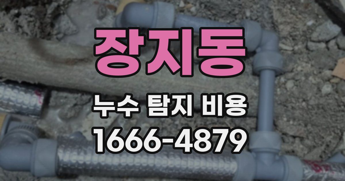 장지동 누수 탐지 비용