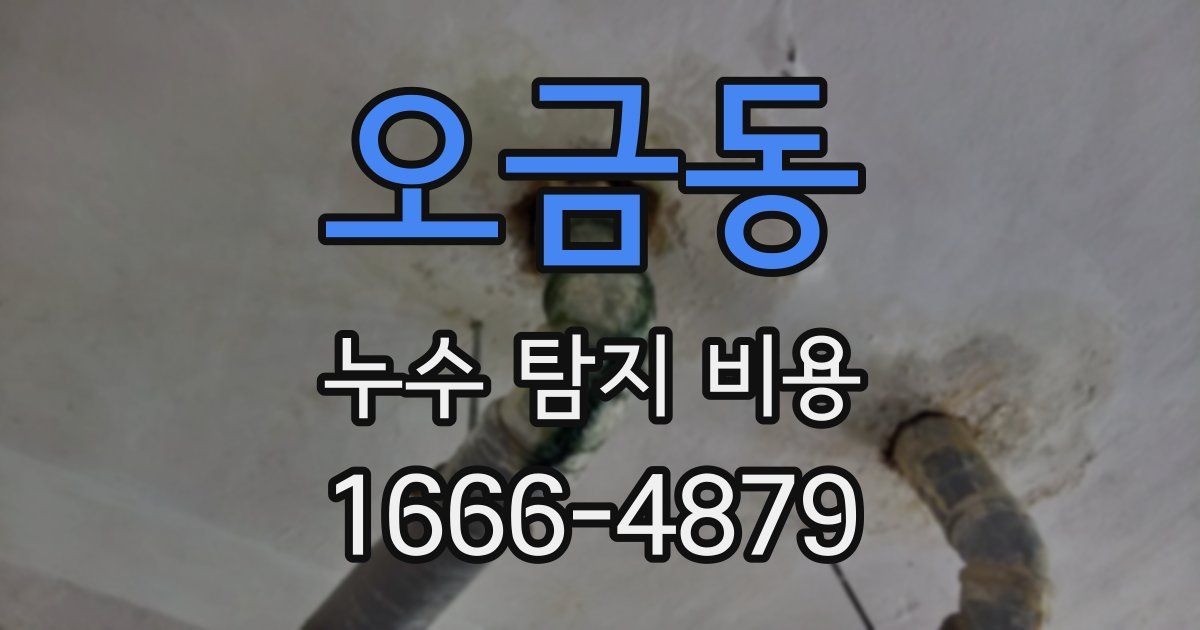 오금동 누수 탐지 비용