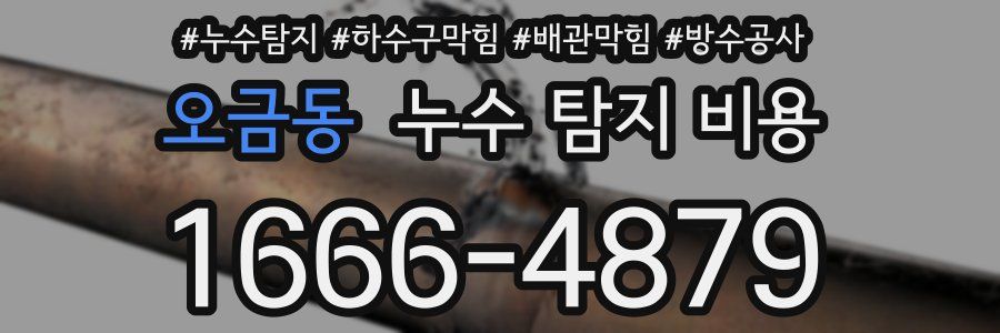 오금동 누수 탐지 비용