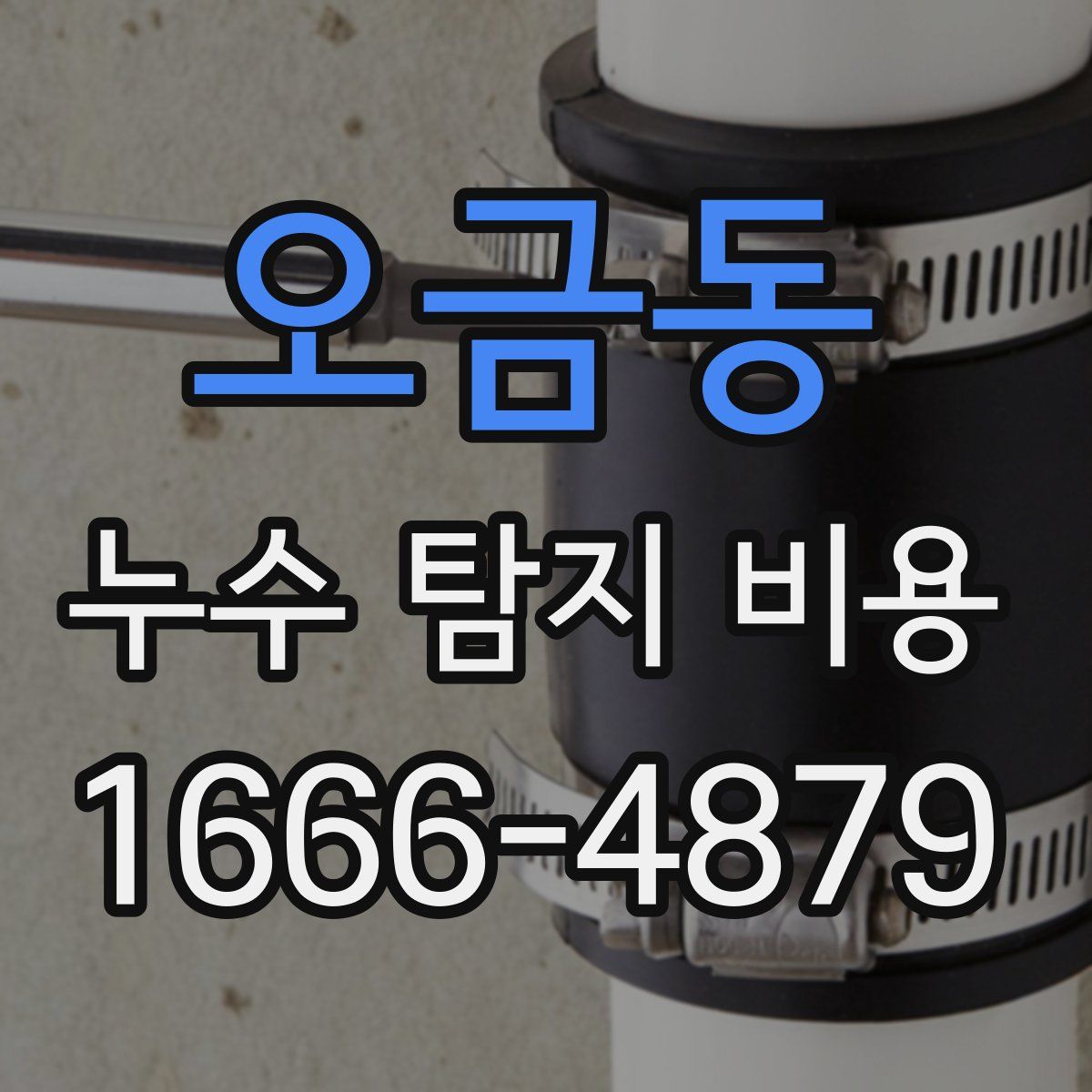 오금동 누수 탐지 비용