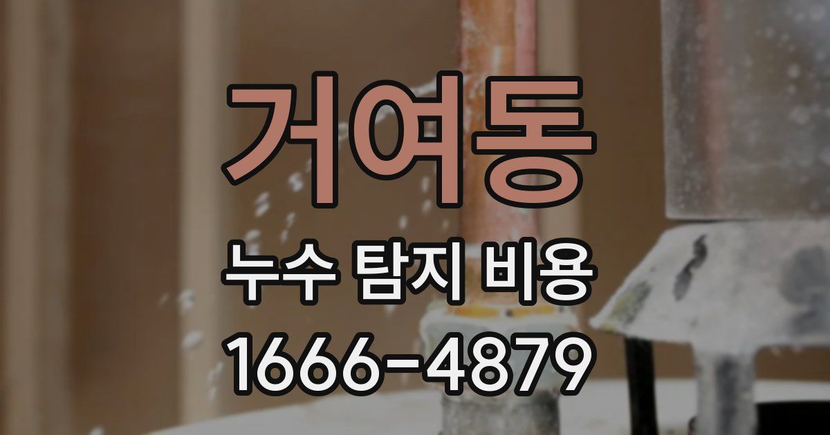 거여동 누수 탐지 비용