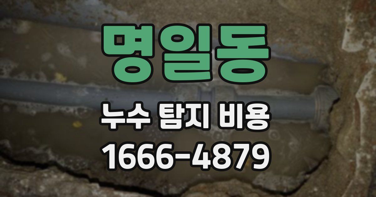 명일동 누수 탐지 비용