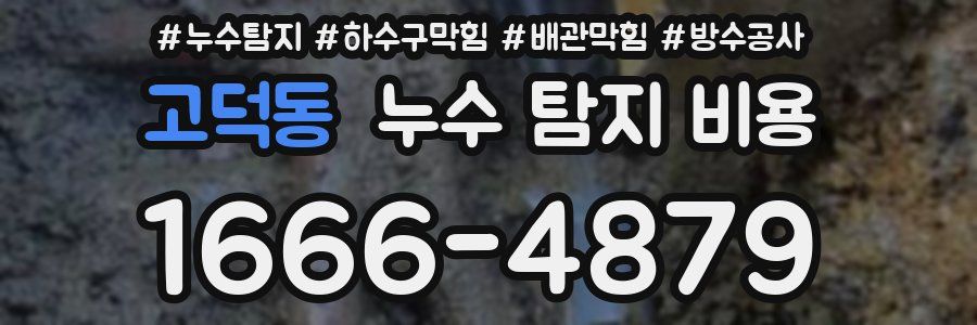 고덕동 누수 탐지 비용