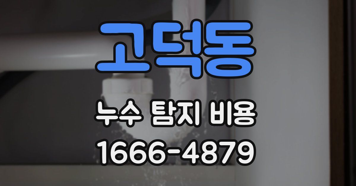 고덕동 누수 탐지 비용