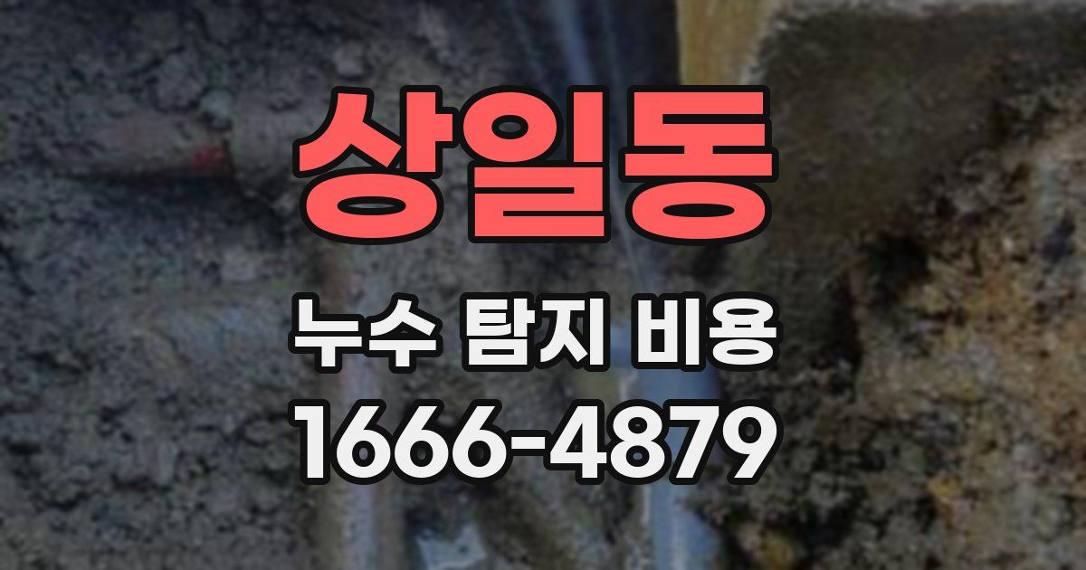 상일동 누수 탐지 비용