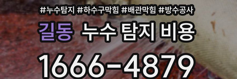 길동 누수 탐지 비용