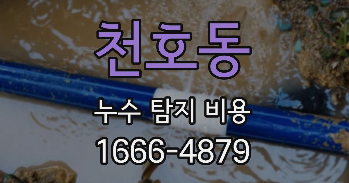 천호동 누수 탐지 비용