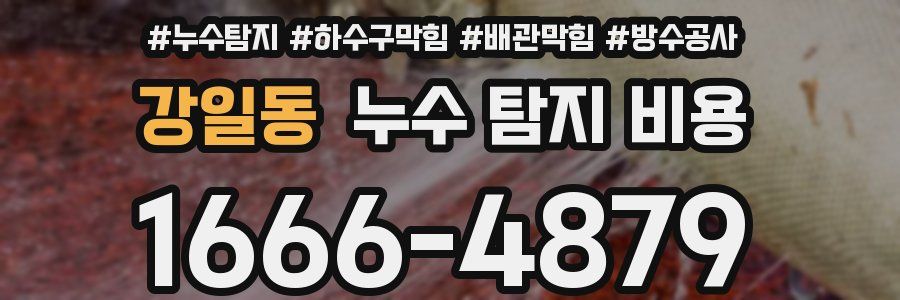 강일동 누수 탐지 비용