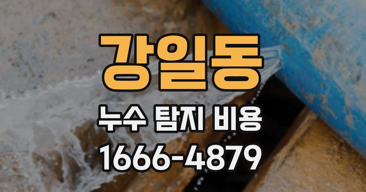 강일동 누수 탐지 비용