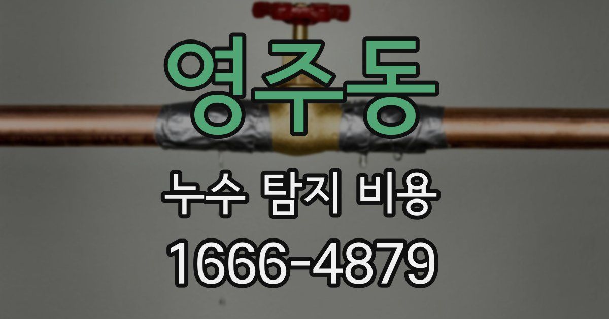 영주동 누수 탐지 비용