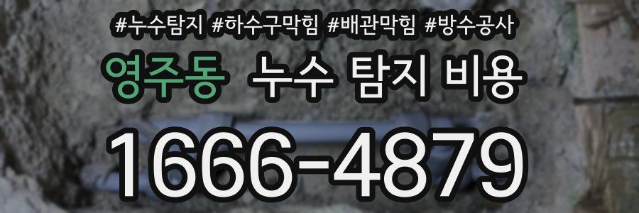 영주동 누수 탐지 비용