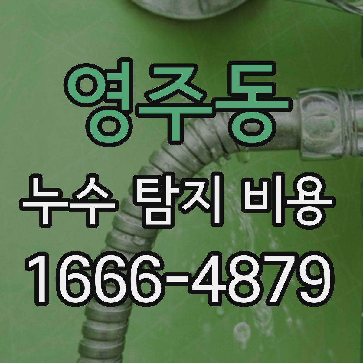 영주동 누수 탐지 비용