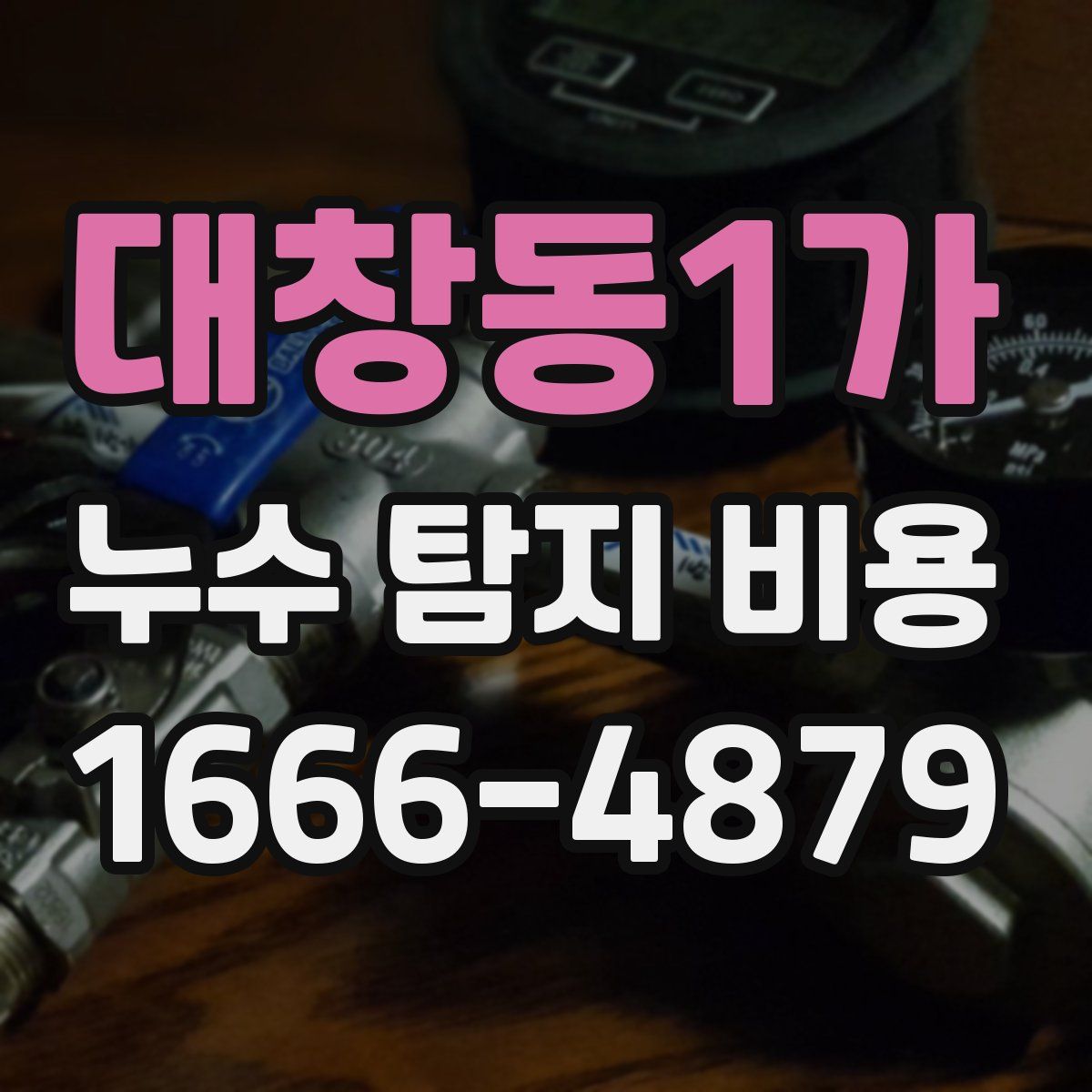 대창동1가 누수 탐지 비용