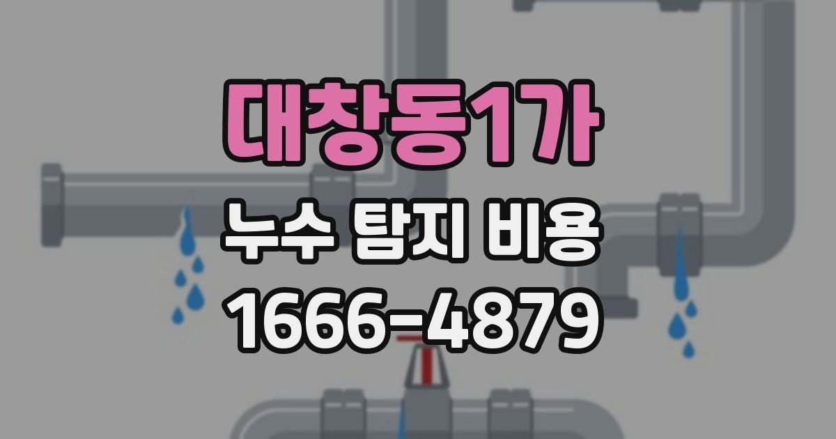 대창동1가 누수 탐지 비용