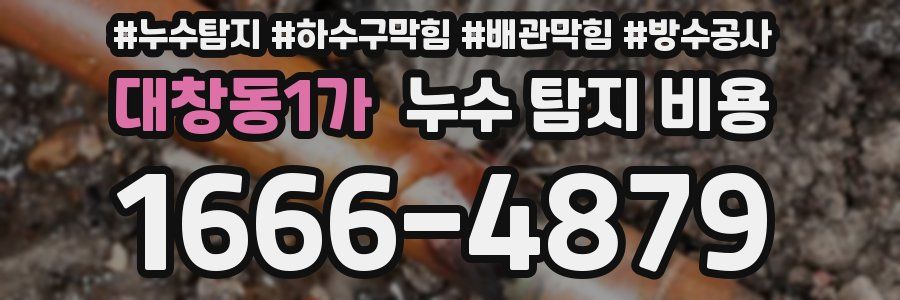 대창동1가 누수 탐지 비용