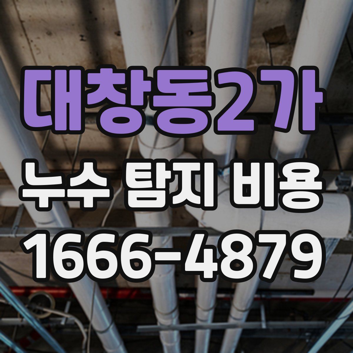 대창동2가 누수 탐지 비용
