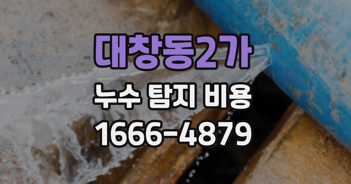 대창동2가 누수 탐지 비용